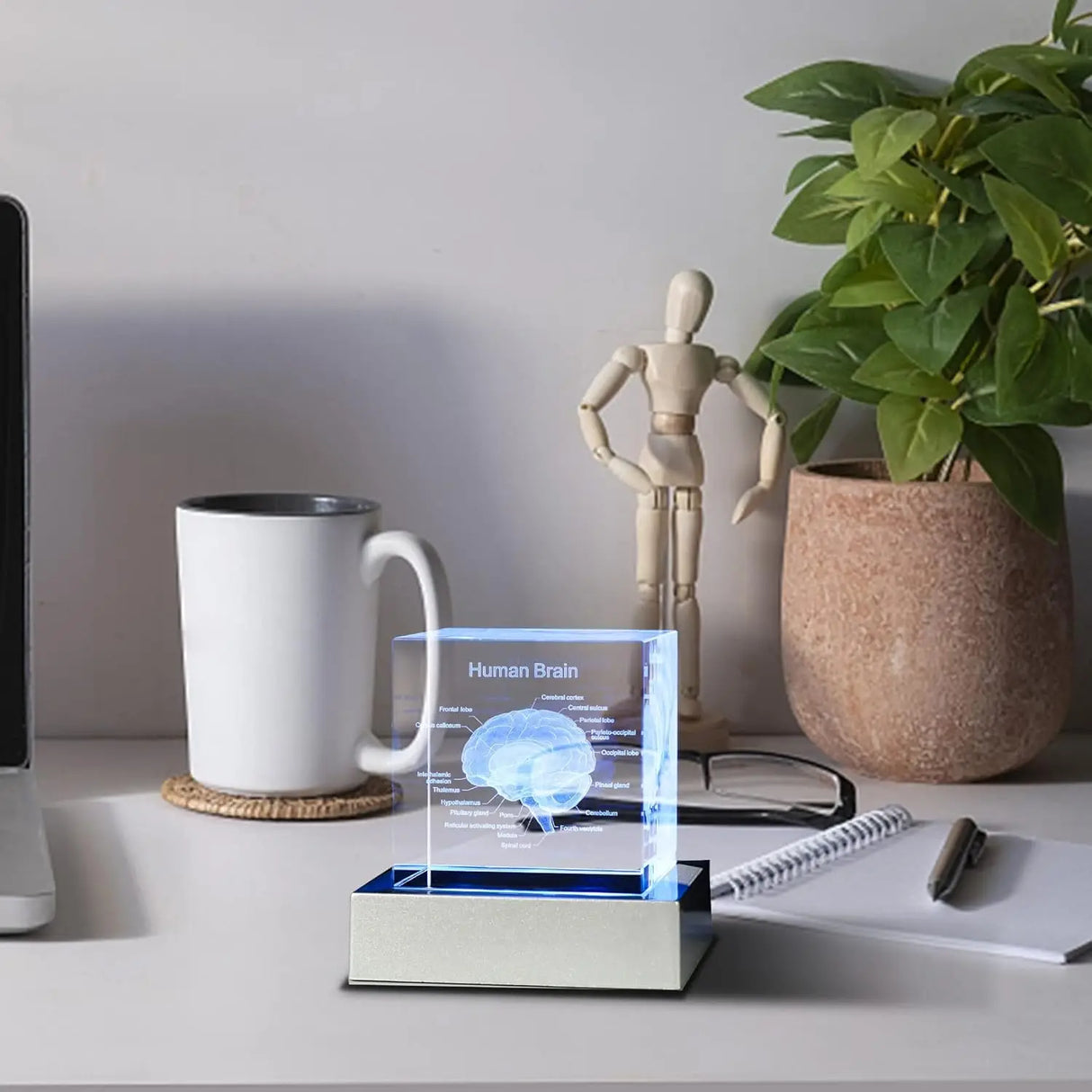 Decorative 3D Crystal Human Brain Model