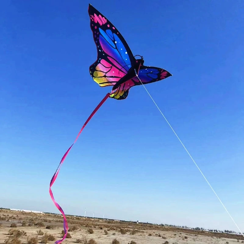 Colorful Inflatable Butterfly Kite