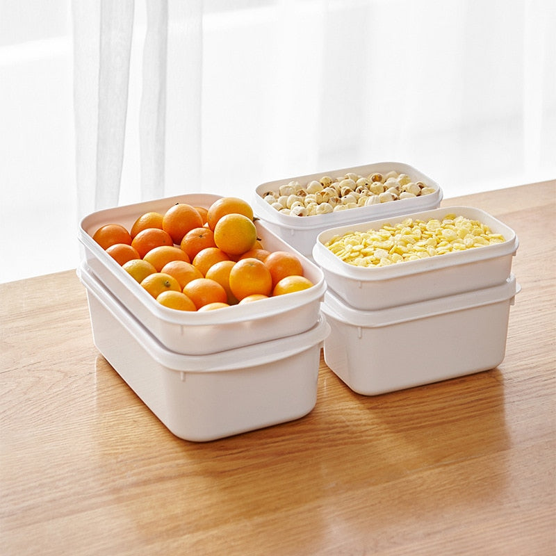 multi-function Plastic Storage box With Lid.