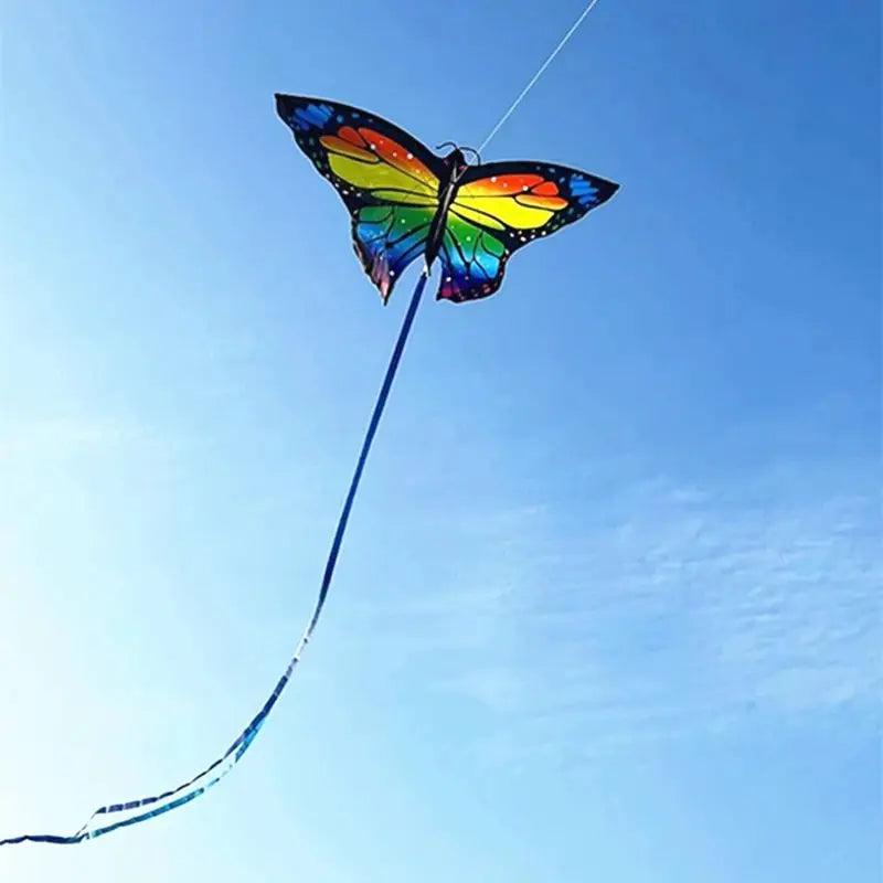 Colorful Inflatable Butterfly Kite