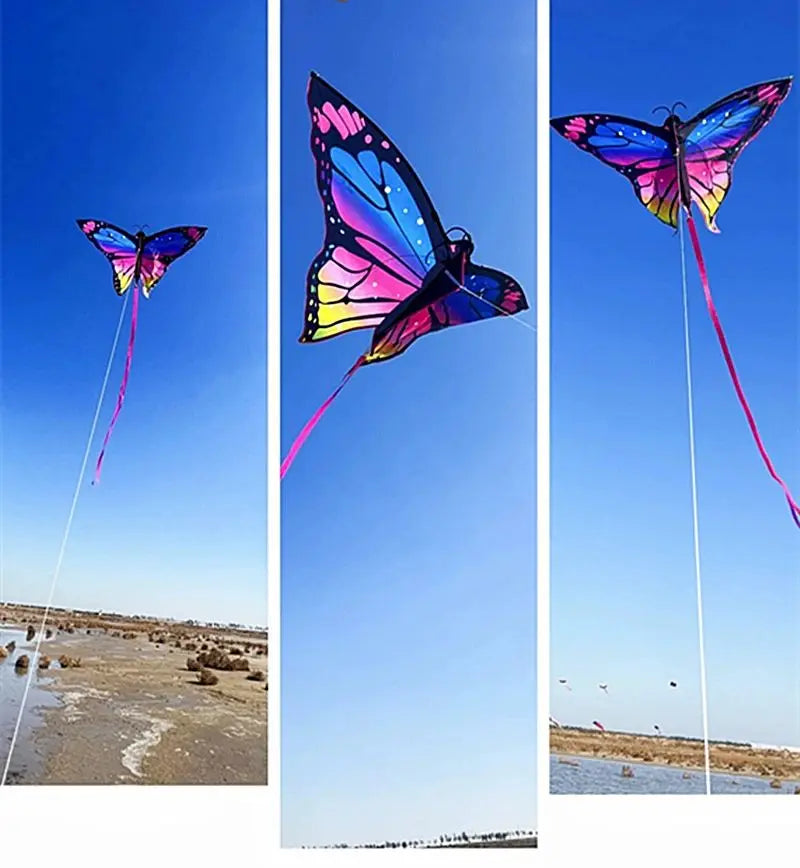 Colorful Inflatable Butterfly Kite
