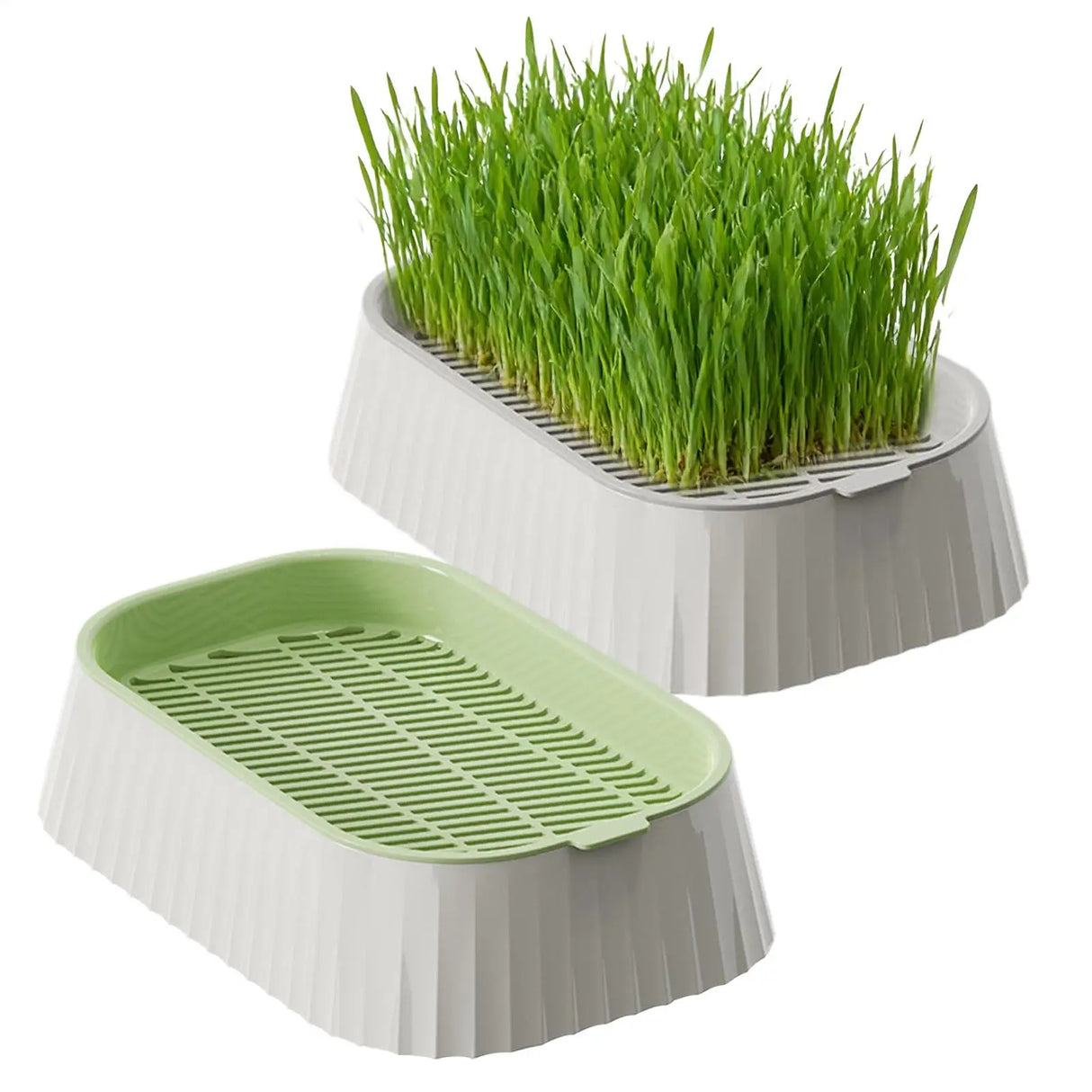 Hydroponic Cat Grass Planter