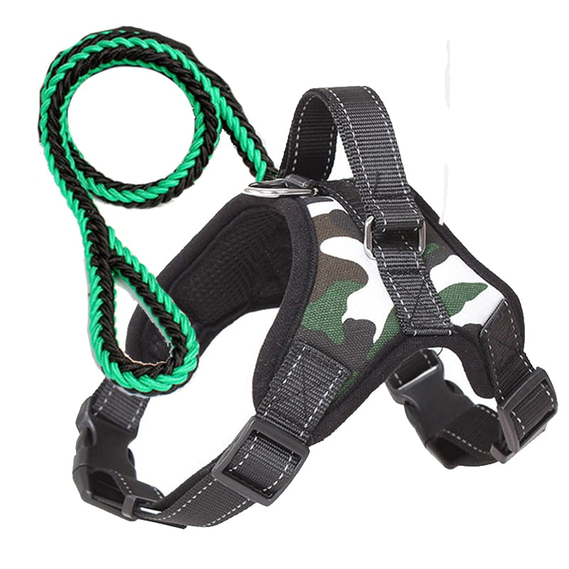 Pets Adjustable Harness and Leash.