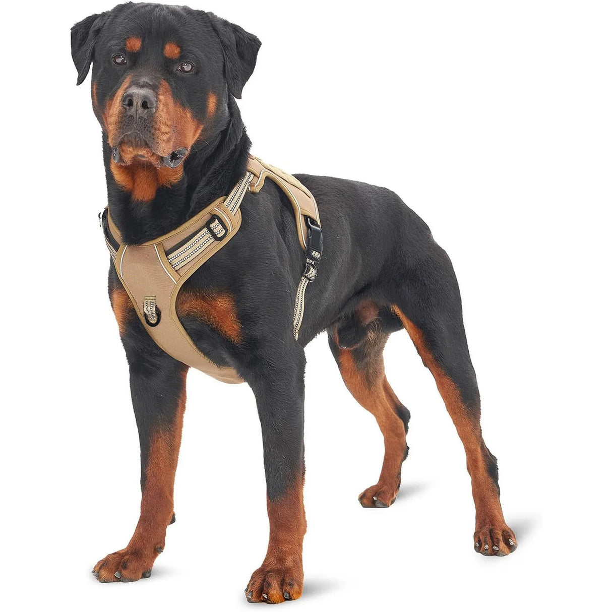 Durable Military-Style Vest with Reflective Straps & Secure Control Handle Dog Harness
