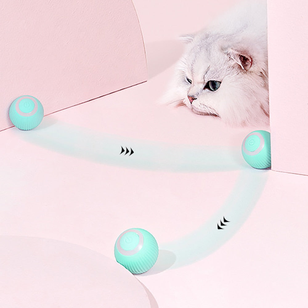 Electric rolling ball.  Automatically rolls to keep your Kitten active.