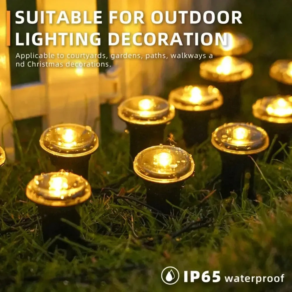 Waterproof Garden Solar Lights