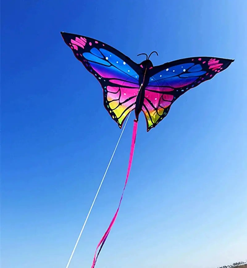 Colorful Inflatable Butterfly Kite
