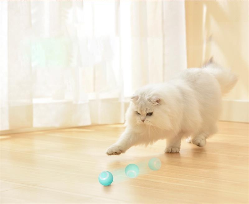Electric rolling ball.  Automatically rolls to keep your Kitten active.