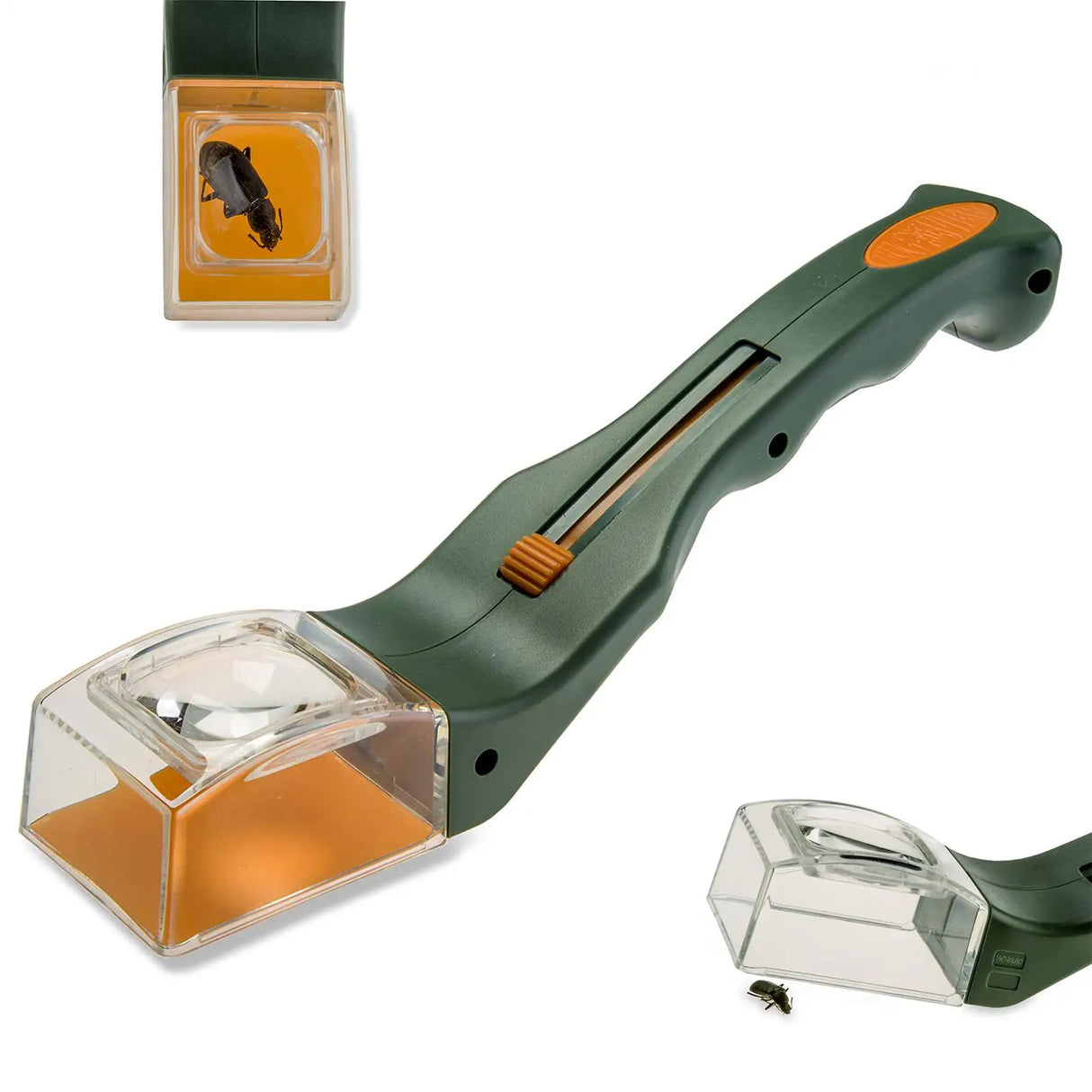 Insect Catcher With Magnifying Glass