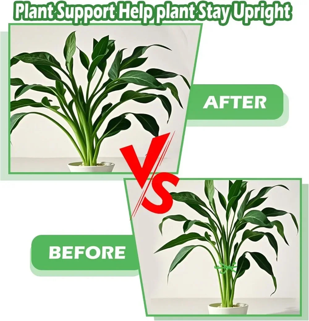 Plastic Plant Stem Support Stakes