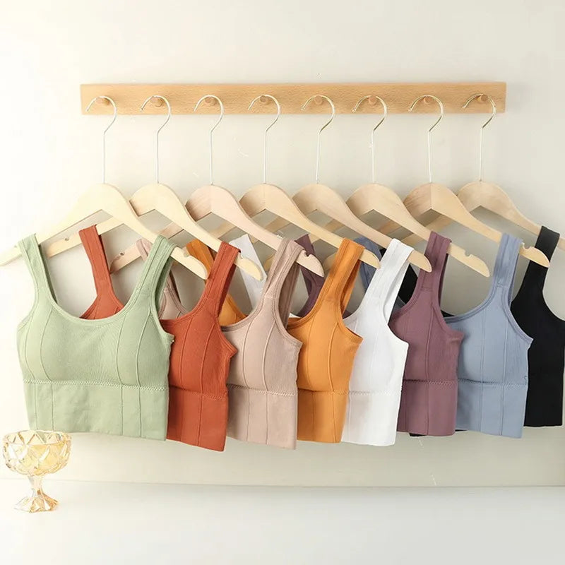 Breathable/Seamless Sports Bra.