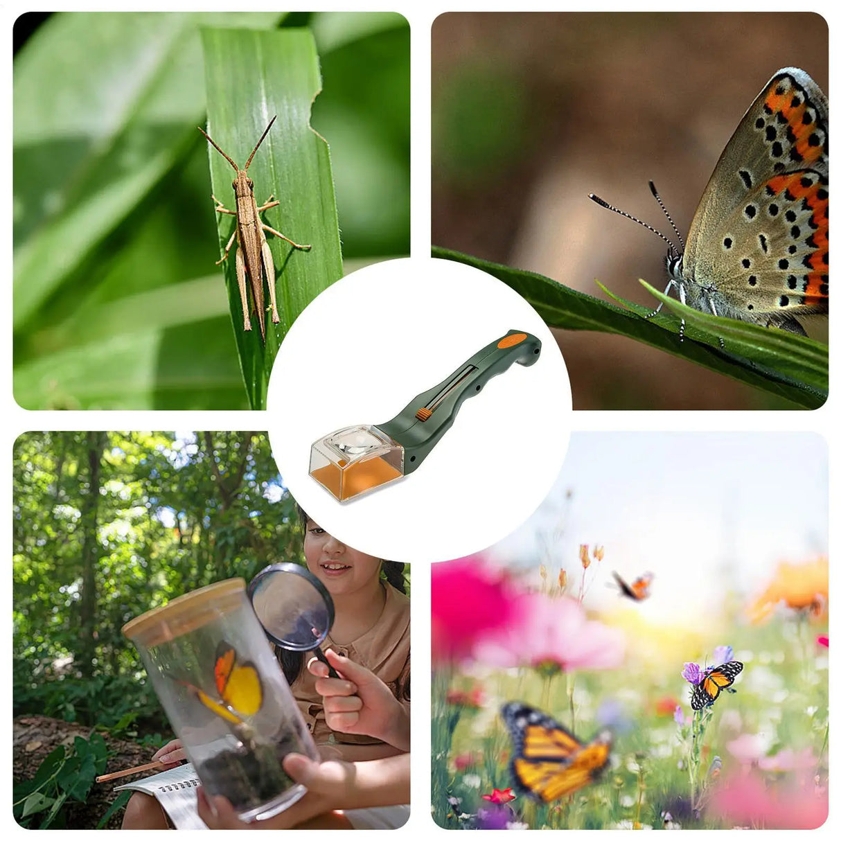 Insect Catcher With Magnifying Glass
