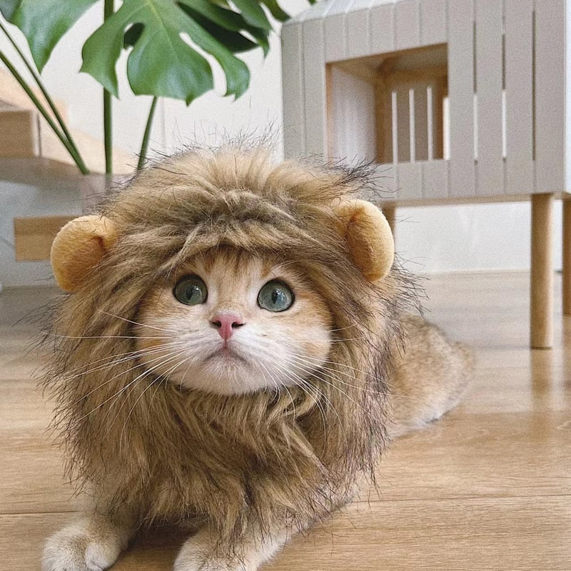 Cute Lion Mane wig for your cat.