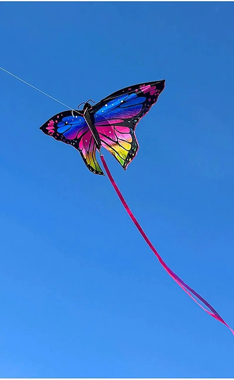 Colorful Inflatable Butterfly Kite
