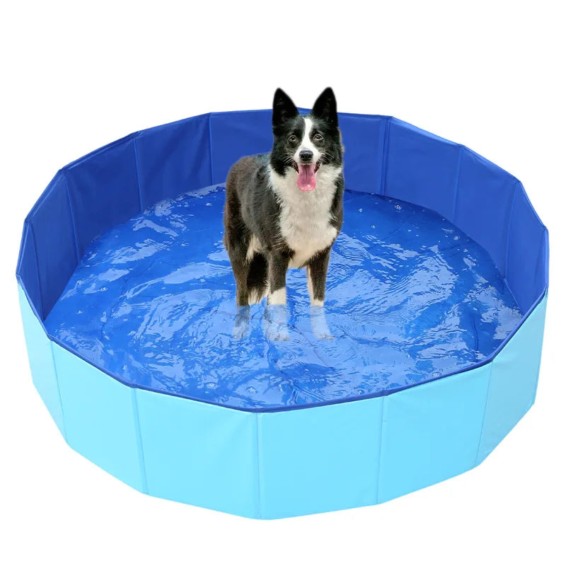 Foldable Pet Pool With Toys