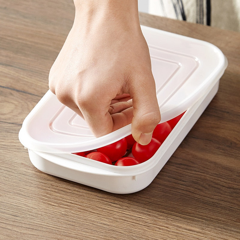 multi-function Plastic Storage box With Lid.