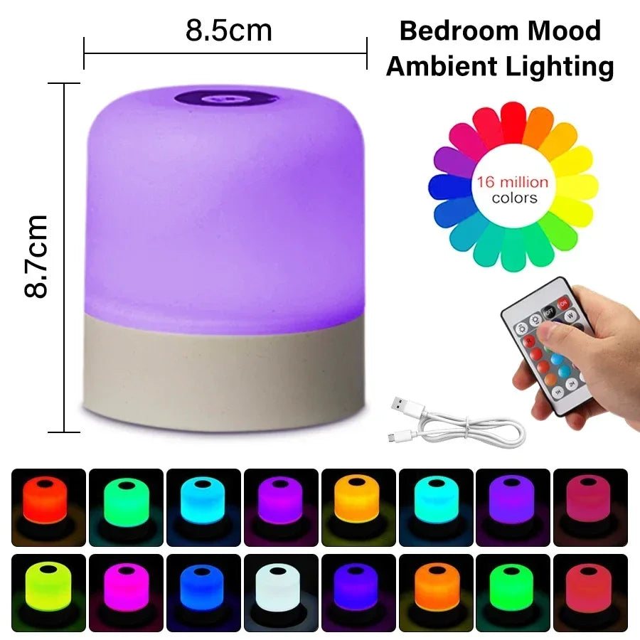 Rechargeable Led Dimmable Multicolor Night Light with Remote Control Or Touch Switch