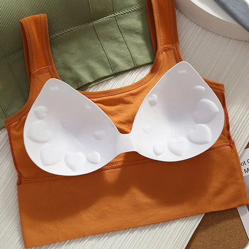 Breathable/Seamless Sports Bra.