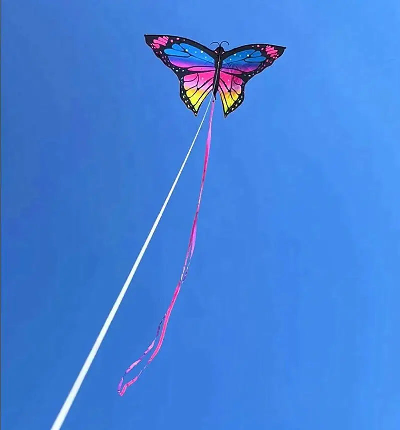 Colorful Inflatable Butterfly Kite