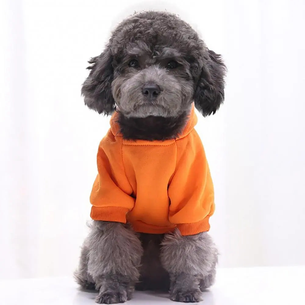 Pet Two-legged Hooded Sweatshirt With Pocket.