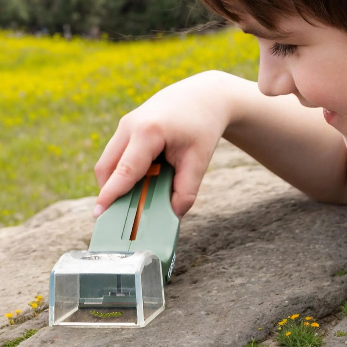 Insect Catcher With Magnifying Glass