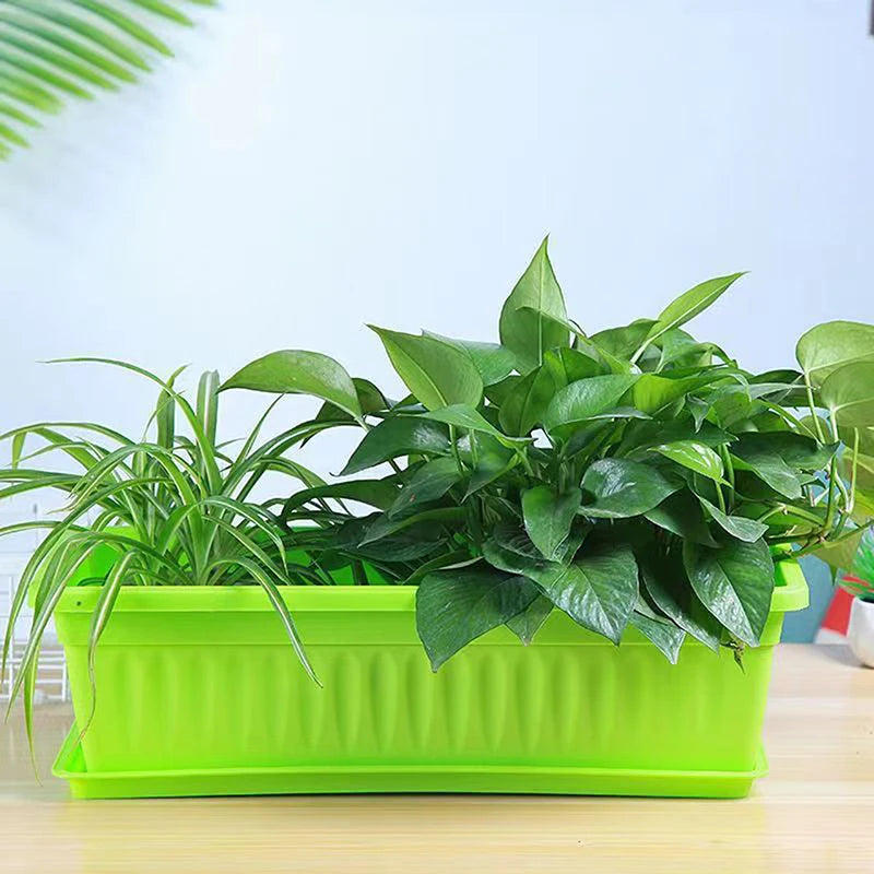 1 Plastic Rectangular Vegetable Planter