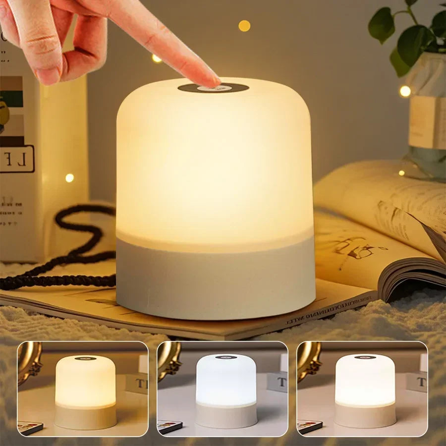 Rechargeable Led Dimmable Multicolor Night Light with Remote Control Or Touch Switch