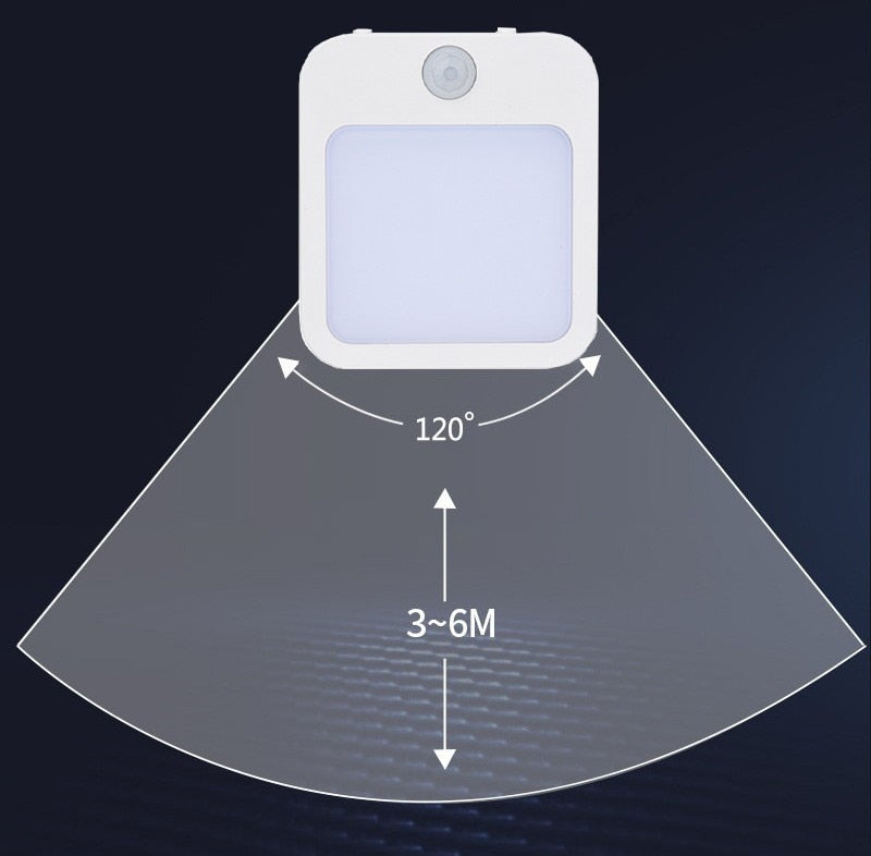 Plug In LED Motion Sensor Night Light.