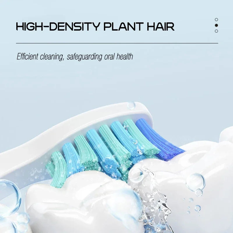 Replacement Brush Heads for Seago Electric Toothbrushes E1-9/SG2303/SG575