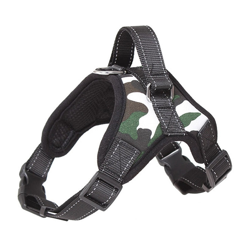 Pets Adjustable Harness and Leash.