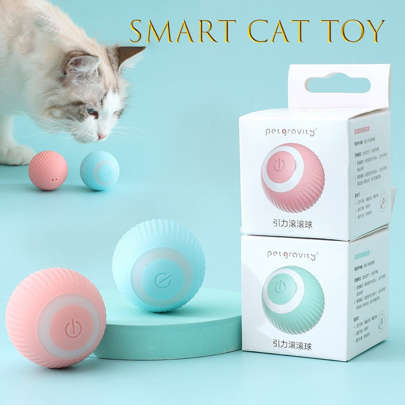 Electric rolling ball.  Automatically rolls to keep your Kitten active.