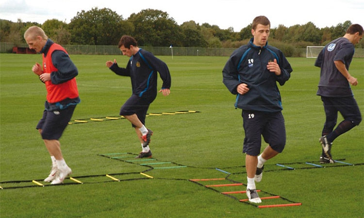 Outdoor Indoor Adjustable Agility Training Ladder for Fitness