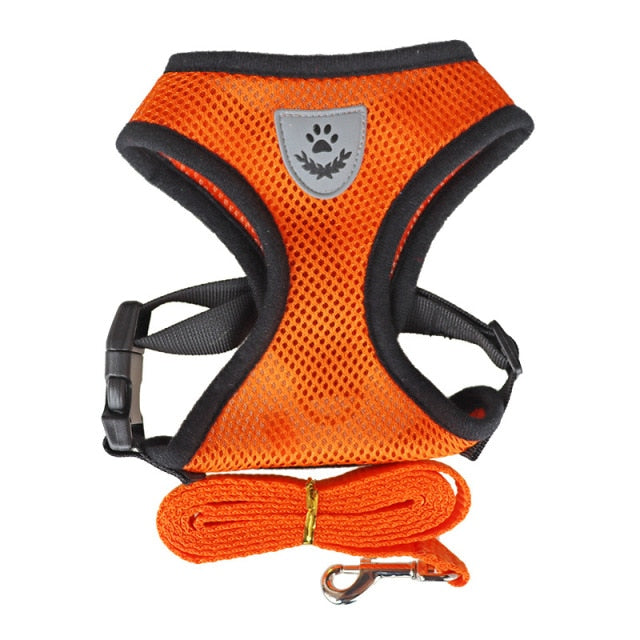 Cat/Dog Adjustable Pet Harness
