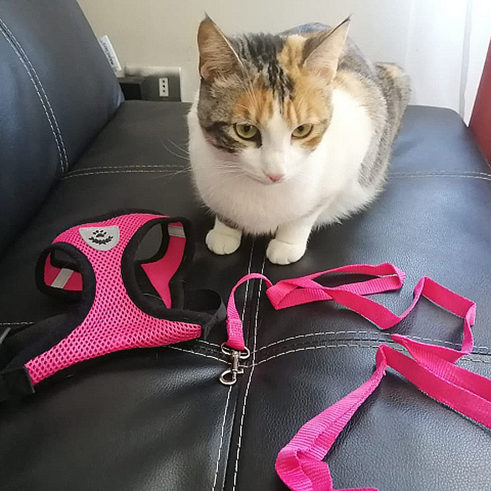 Cat/Dog Adjustable Pet Harness