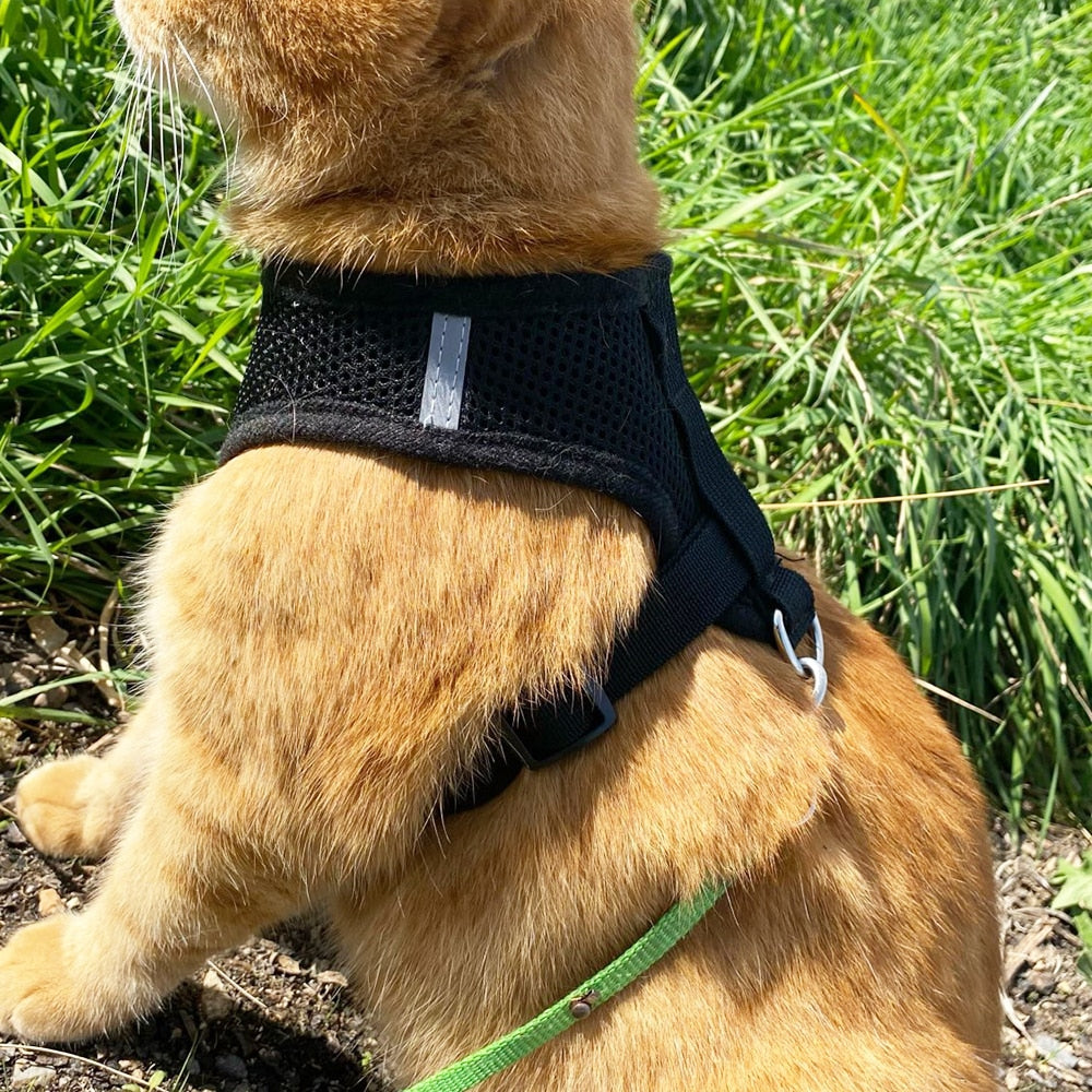 Cat/Dog Adjustable Pet Harness