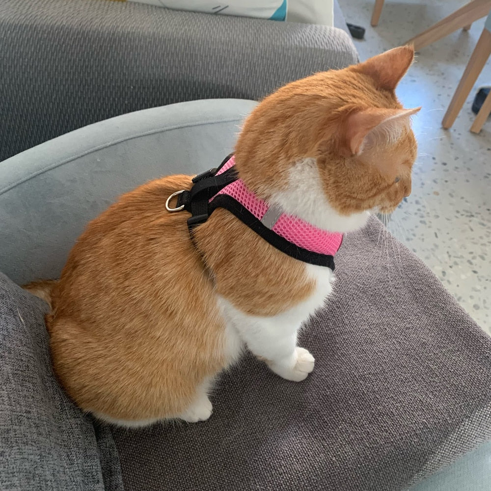 Cat/Dog Adjustable Pet Harness