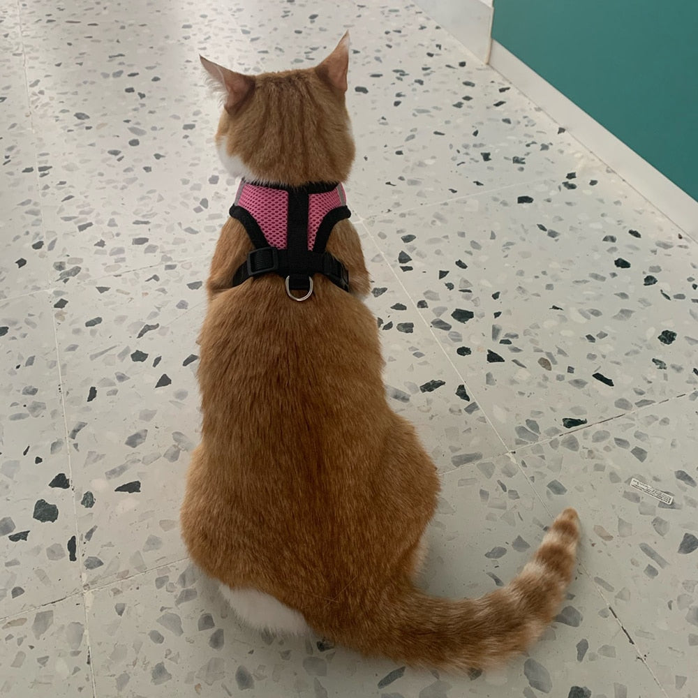 Cat/Dog Adjustable Pet Harness