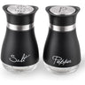 2-Piece Glass Salt And Pepper Set