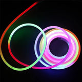 Tuya Neon Rope LED Strip Lights