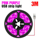 LED/USB Full Spectrum Phyto Lamp 5V with Grow Light Strip 0.5m 1m 2m 3m.