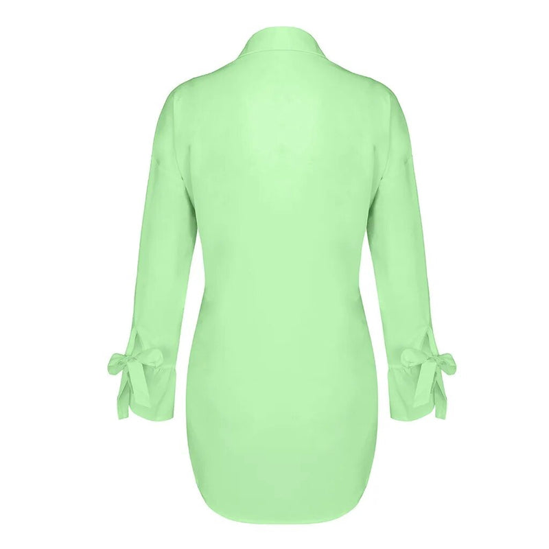 Women's Long Sleeve Solid Color Blouse.