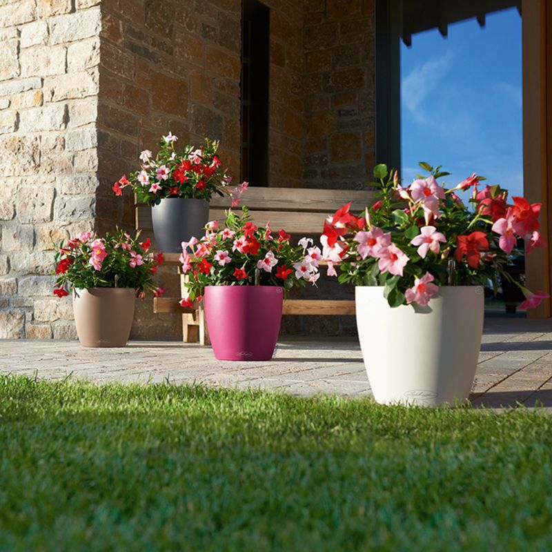 Self Watering indoor flower pots. Indicator measures water level.