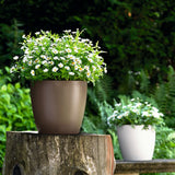 Self Watering indoor flower pots. Indicator measures water level.