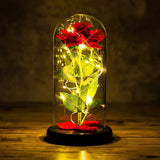 Christmas Or Valentines LED Foil Flower With Fairy String Lights In Enclosed Dome