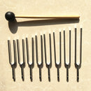 Frequency Therapy Medical Diagnostic Tuning Fork Set.