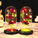 Christmas Or Valentines LED Foil Flower With Fairy String Lights In Enclosed Dome