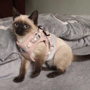 Mesh Pet Harness and Leash Set.