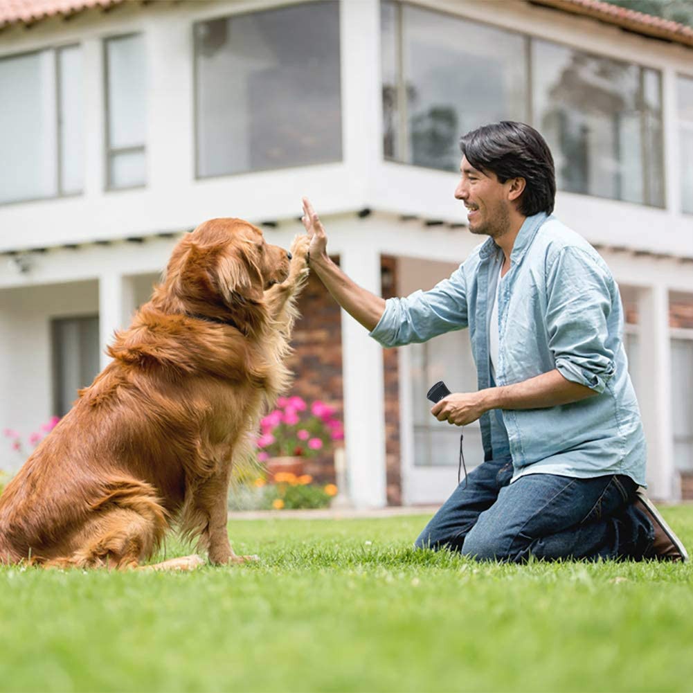 LED Ultrasonic 3 in 1 Anti Barking Dog Training.