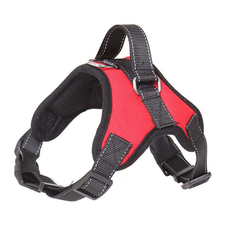 Pets Adjustable Harness and Leash.