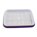 Double Layer Hydroponic Seedling Tray.  Great for Starting Off Seeds for Vegetables .